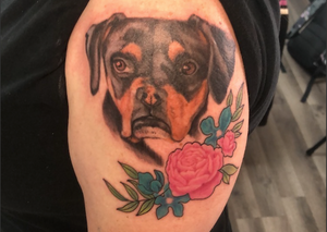 Dog Portrait Tattoo, Duluth, Mn